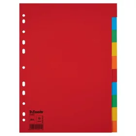   Regiszter, karton, A4, 10 részes, ESSELTE Economy, színes (E100201)