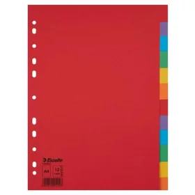   Regiszter, karton, A4, 12 részes, ESSELTE Economy, színes (E100202)