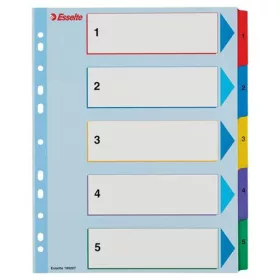   Regiszter, laminált karton, A4 maxi, 1-5, újraírható, ESSELTE (E100207)