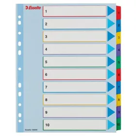   Regiszter, laminált karton, A4 Maxi, 1-10, újraírható, ESSELTE (E100208)