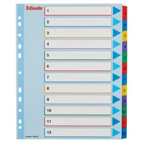   Regiszter, laminált karton, A4 Maxi, 1-12, újraírható, ESSELTE (E100209)