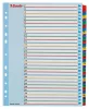 Regiszter, laminált karton, A4 Maxi, 1-31, újraírható, ESSELTE (E100210)
