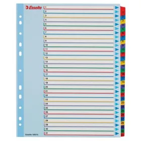   Regiszter, laminált karton, A4 Maxi, 1-31, újraírható, ESSELTE (E100210)