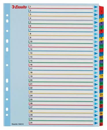 Regiszter, laminált karton, A4 Maxi, 1-31, újraírható, ESSELTE (E100210)