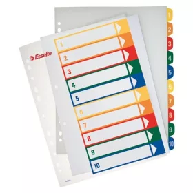   Regiszter, műanyag, A4 Maxi, 1-10, nyomtatható, ESSELTE, áttetsző (E100213)