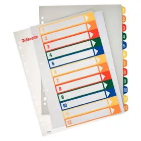   Regiszter, műanyag, A4 Maxi, 1-12, nyomtatható, ESSELTE, áttetsző (E100214)