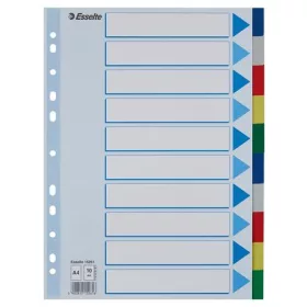 Regiszter, műanyag, A4, 10 részes, ESSELTE (E15261)