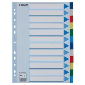 Regiszter, műanyag, A4, 12 részes, ESSELTE (E15262)