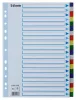 Regiszter, műanyag, A4, 20 részes, ESSELTE (E15263)