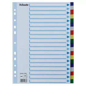 Regiszter, műanyag, A4, 20 részes, ESSELTE (E15263)