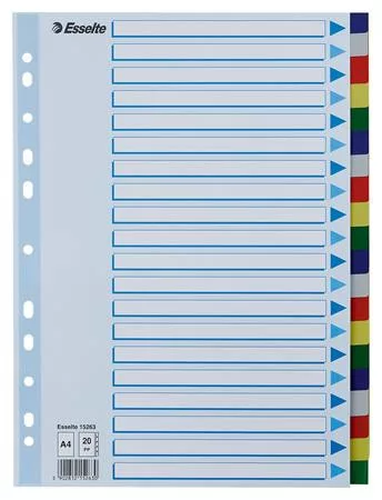 Regiszter, műanyag, A4, 20 részes, ESSELTE (E15263)