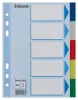 Regiszter, műanyag, A5, 5 részes, ESSELTE, színes (E15264)