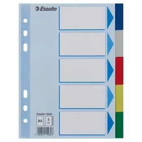   Regiszter, műanyag, A5, 5 részes, ESSELTE, színes (E15264)
