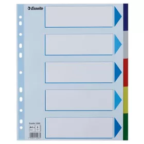 Regiszter, műanyag, A4 Maxi, 5 részes, ESSELTE (E15266)