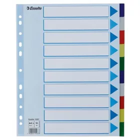 Regiszter, műanyag, A4 Maxi, 10 részes, ESSELTE (E15267)