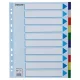 Regiszter, műanyag, A4 Maxi, 10 részes, ESSELTE (E15267)