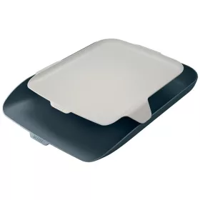   Irattálca, rendszerező tálcával, műanyag LEITZ Cosy, bársonyszürke (E52590089)