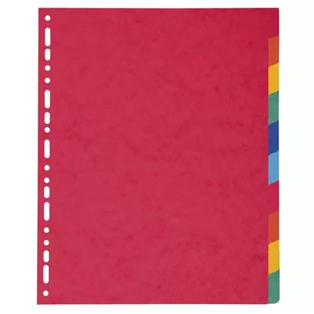Regiszter, karton, A4+, 10 részes, EXACOMPTA, színes (EX2410E)