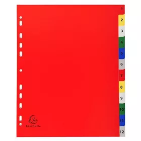 Regiszter, műanyag, A4+, 1-12, EXACOMPTA, színes (EX2512E)