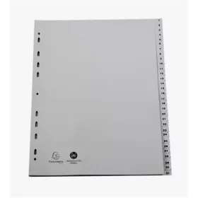 Regiszter, műanyag, A4+, 1-31, EXACOMPTA, szürke (EX2931E)