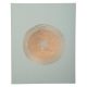 Vendégkönyv, 27x22 cm, 50 lap, EXACOMPTA Ellipse, zöld (EX47982E)