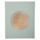 Vendégkönyv, 27x22 cm, 50 lap, EXACOMPTA Ellipse, zöld (EX47982E)