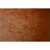 Gumis mappa, prespán, A4, EXACOMPTA, narancs (EX55504E)