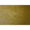 Gumis mappa, prespán, A4, EXACOMPTA, sárga (EX55509E)
