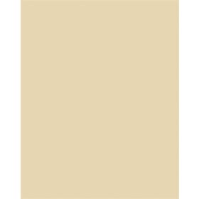   Dekorkarton, 2 oldalas, 50x70cm, 220 g, 10 lap, FOLIA, bézs (FL61221010)