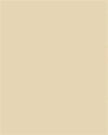 Dekorkarton, 2 oldalas, 50x70cm, 220 g, 10 lap, FOLIA, bézs (FL61221010)