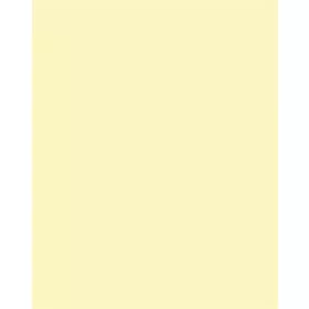   Dekorkarton, 2 oldalas, 50x70cm, 220 g, 10 lap, FOLIA, szalmasárga (FL61221011)