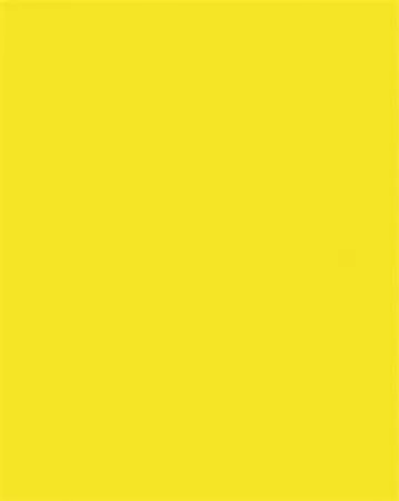 Dekorkarton, 2 oldalas, 50x70cm, 220 g, 10 lap, FOLIA, citromsárga (FL61221014)