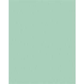   Dekorkarton, 2 oldalas, 50x70cm, 220 g, 10 lap, FOLIA, menta (FL61221025)