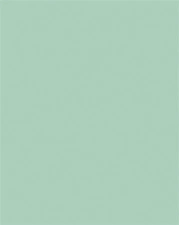 Dekorkarton, 2 oldalas, 50x70cm, 220 g, 10 lap, FOLIA, menta (FL61221025)