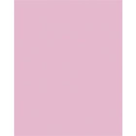   Dekorkarton, 2 oldalas, 50x70cm, 220 g, 10 lap, FOLIA, halvány rózsaszín (FL61221026)