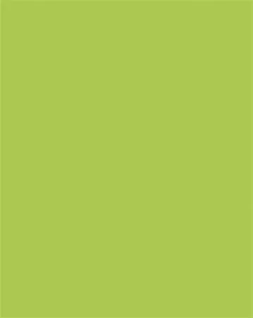 Dekorkarton, 2 oldalas, 50x70cm, 220 g, 10 lap, FOLIA, tavaszzöld (FL61221050)