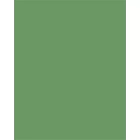   Dekorkarton, 2 oldalas, 50x70cm, 220 g, 10 lap, FOLIA, mohazöld (FL61221053)