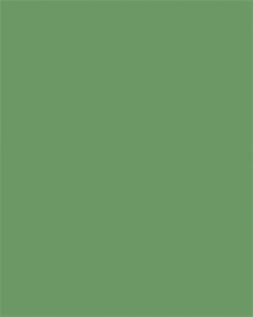 Dekorkarton, 2 oldalas, 50x70cm, 220 g, 10 lap, FOLIA, mohazöld (FL61221053)