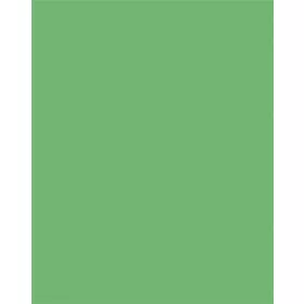   Dekorkarton, 2 oldalas, 50x70cm, 220 g, 10 lap, FOLIA, smaragdzöld (FL61221054)