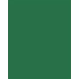   Dekorkarton, 2 oldalas, 50x70cm, 220 g, 10 lap, FOLIA, fenyőzöld (FL61221058)