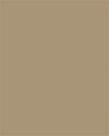 Dekorkarton, 2 oldalas, 50x70cm, 220 g, 10 lap, FOLIA, őzbarna (FL61221075)