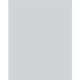   Dekorkarton, 2 oldalas, 50x70cm, 220 g, 10 lap, FOLIA, halványszürke (FL61221080)