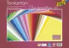 Dekorkarton, 2 oldalas, 50x70cm, 220 g, 25 lap, FOLIA, vegyes színek (FL61222599)