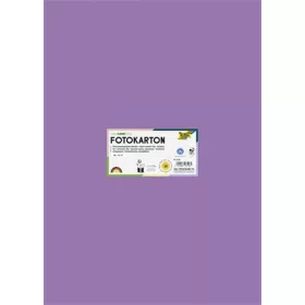   Dekorkarton, 2 oldalas, 50x70 cm, 300 g, 10 lap, FOLIA, sötét orgonalila (FL6128)
