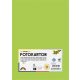 Dekorkarton, 2 oldalas, A4, 300 g, 50 lap, FOLIA, tavaszzöld (FL6145050)