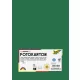 Dekorkarton, 2 oldalas, A4, 300 g, 50 lap, FOLIA, fenyőzöld (FL6145058)