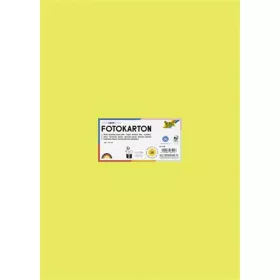   Dekorkarton, 2 oldalas, 50x70 cm, 300 g, 10 lap, FOLIA, lime (FL6149)