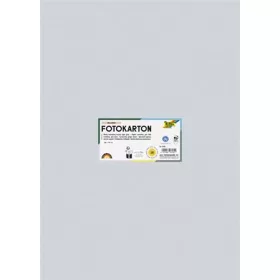   Dekorkarton, 2 oldalas, 50x70 cm, 300 g, 10 lap, FOLIA, halvány szürke (FL6180)