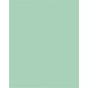 Színes papír, A3, 130 g, 50 lap, FOLIA, menta (FL6325)