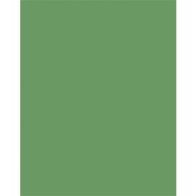 Színes papír, A3, 130 g, 50 lap, FOLIA, mohazöld (FL6353)
